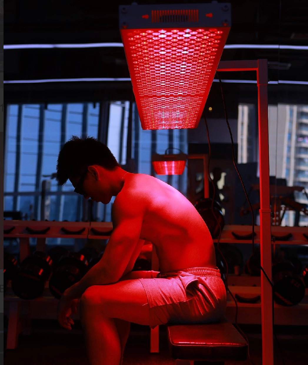 Lumier Stands - VeloraRedLight